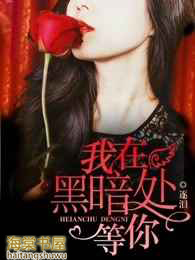 我在黑暗尽头等你小说txt